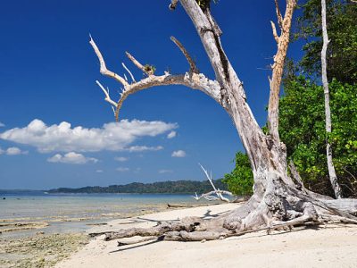 Stunning view of Elephant Beach on Havelock Island.